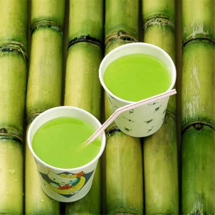 battery operated sugarcane juice machine