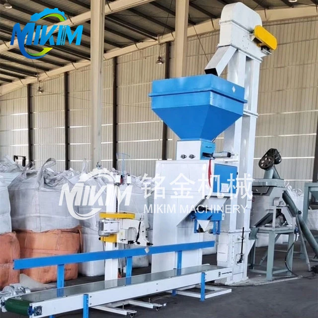 packing machine48 packing machine48