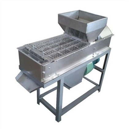 땅콩 필링 머신