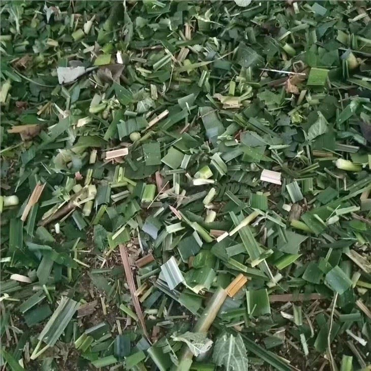 Cutter Chaff Cutter For Animal Feeding
