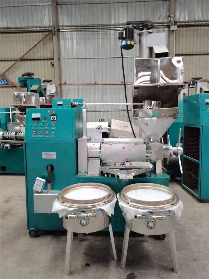 오일 압착기 기계 콜드 프레스