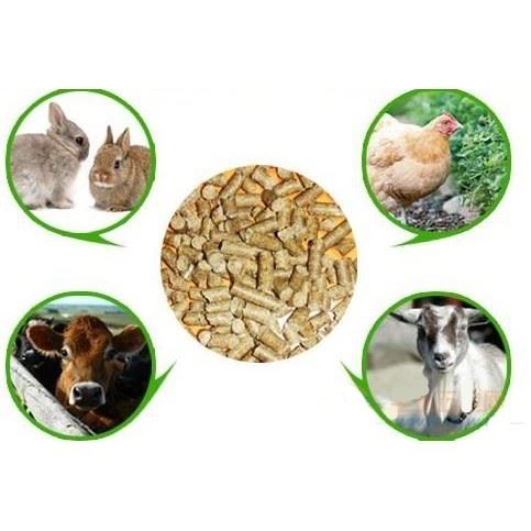 Poultry Feed Pellet Production Line
