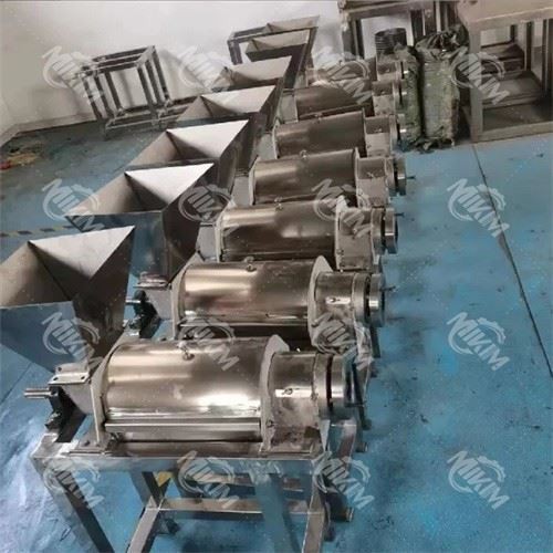 Large Fruit And Vegetable Juicer