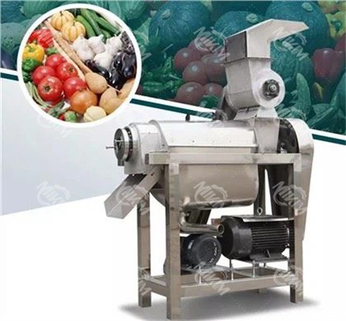 Large Fruit And Vegetable Juicer
